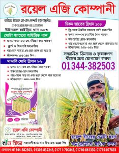 ধান বীজ
