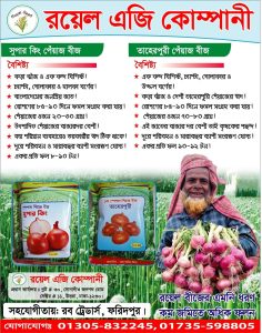 পেয়াজ বীজ