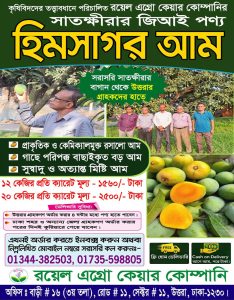 হিমসাগর আম