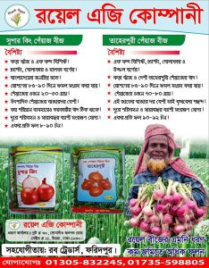 পেয়াজ বীজ